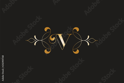 Elegant Letter Z  Golden Design.Creative Monogram Logo