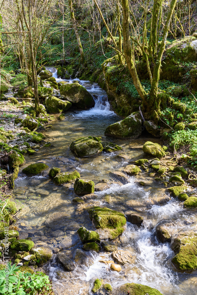 Obraz premium Kot stream a little creek in Natisone valley