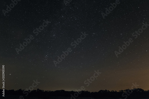 Starry night over the horizon with trees. Night landscape.