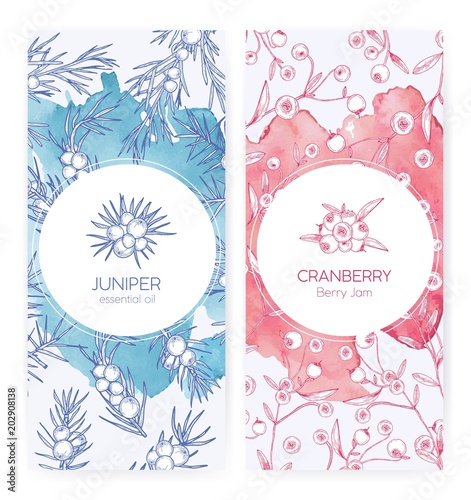 Bundle of banner templates with juniper and cranberries drawn with contour li...