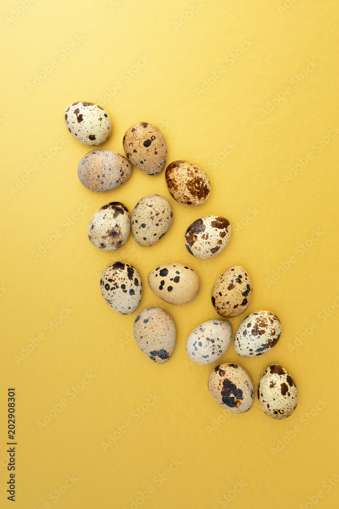 fresh quail eggs on a gold background top view. flat layout with space for text.