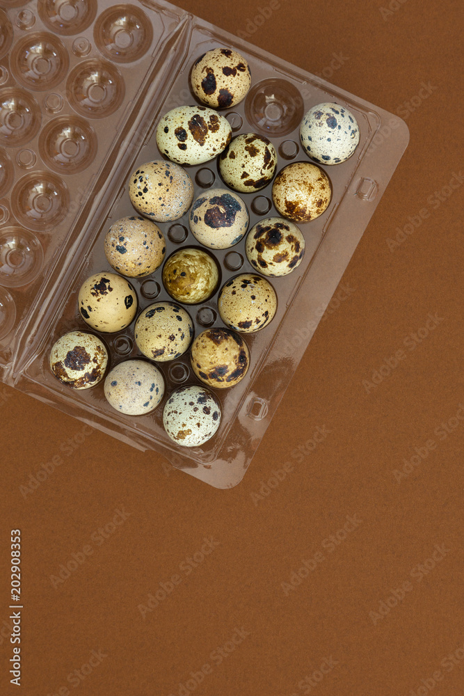 fresh whole quail eggs on a brown background top view. flat layout with space for text. fresh whole quail eggs on a brown background top view. flat layout with space for text.