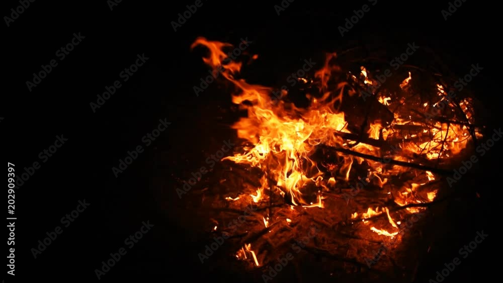 Fire in nature. Bokeh from the fire. Blurred backgrounds. Space views. Sparks are beautifully flying right at you. Shooting speed 60fps, slow motion. Live shooting of the most beautiful flame. Fire in nature. Bokeh from the fire. Blurred backgrounds. Space views. Sparks are beautifully flying right at you. Shooting speed 60fps, slow motion. Live shooting of the most beautiful flame.