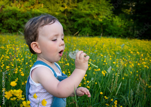 Zweijährige mit Pusteblume in der Frühlingswiese