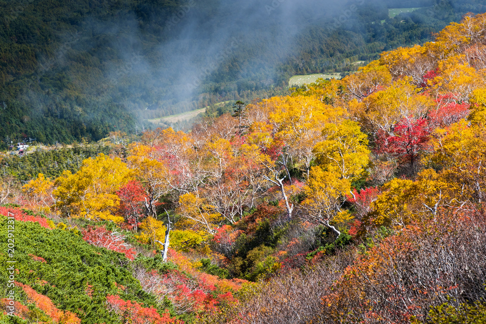 Mt.Ontake in autumn season