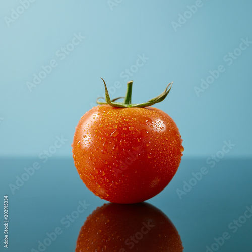 Tomato with drops and a green tail isolated on glossy blue background photo