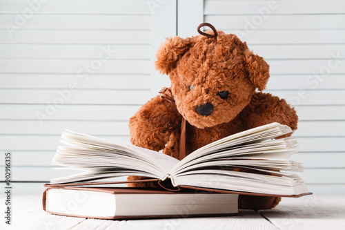 Children learning, teddy and books photo