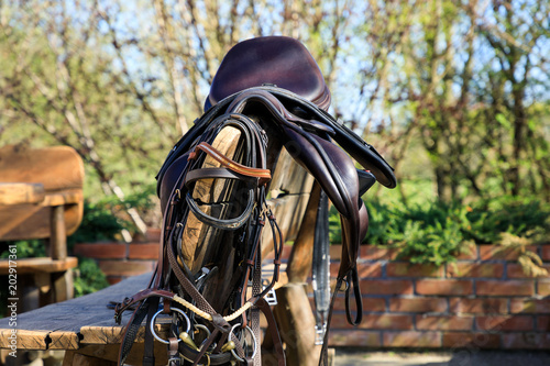 Horseback equipment are hanging on the wooden chair outdoors