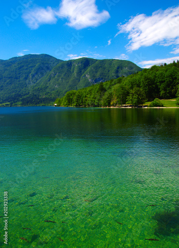  Landscape Bohinj Lake with clear water.