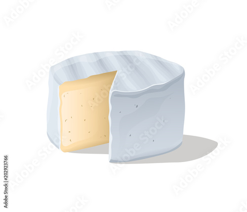 Soft camembert cheese block. Vector illustration