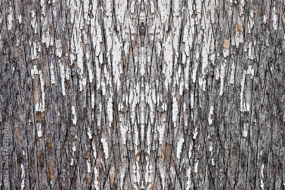 Fototapeta premium Abstract grunge background