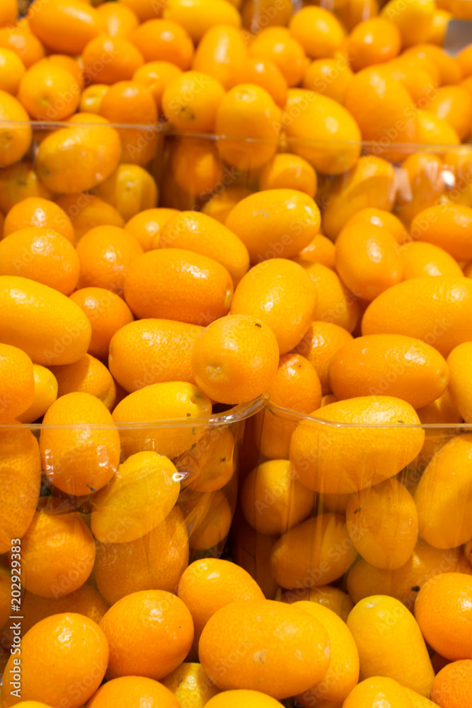 Citrus japonica or kumquat small orange sweet tropical fruit Citrus japonica or kumquat small orange sweet tropical fruit