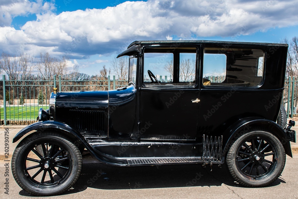 Old Cars at the Garden