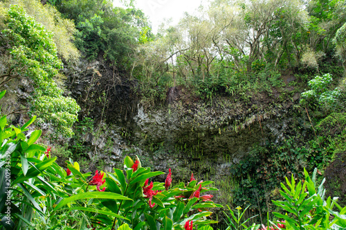 カウアイ島シダの洞窟とンジャーの花