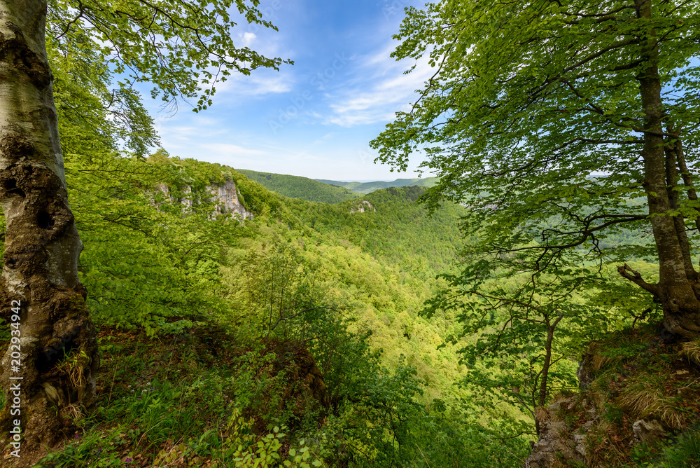 Fototapeta premium Hiking in beautiful landscape of Bad Urach, Swabian Alb, Baden-Wuerttemberg, Germany, Europe