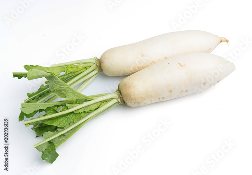 daikon radishes isolated on white