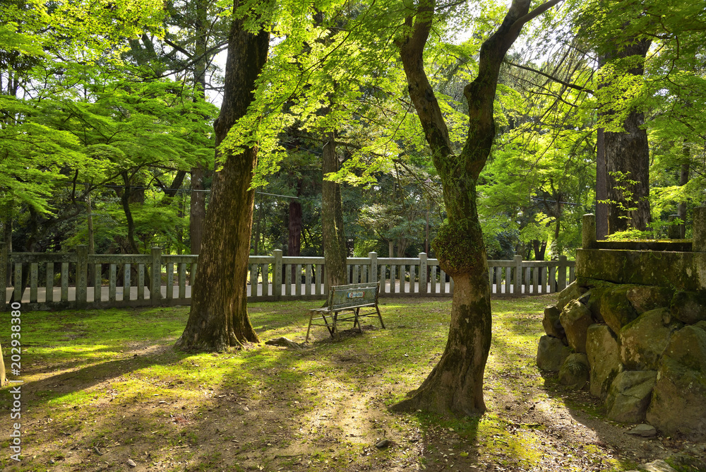 奈良公園のベンチ
