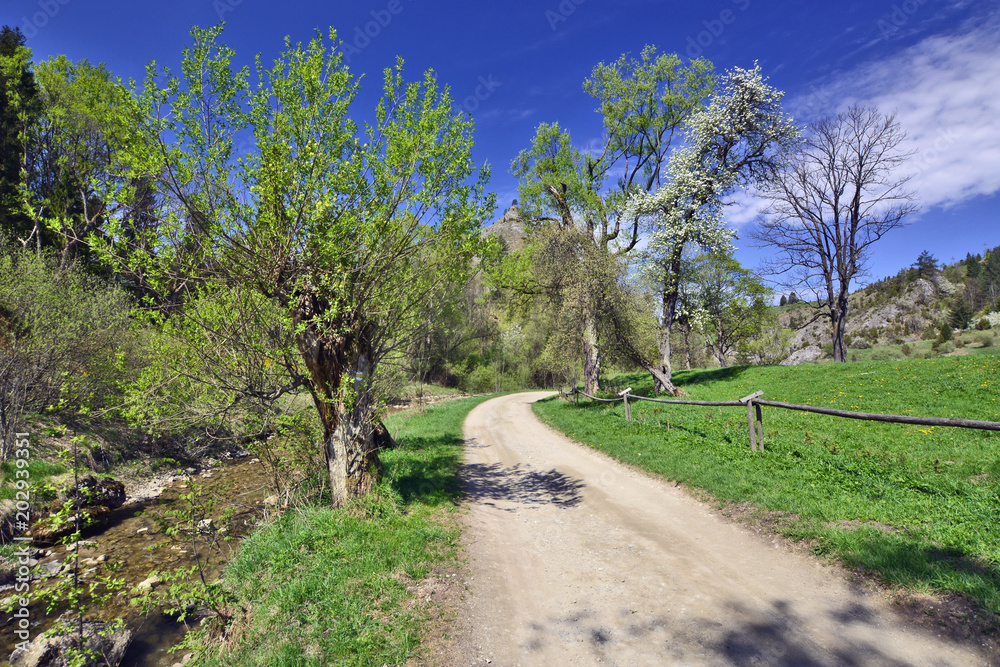 Biala Woda Reserve in springtime, Pieniny mountains, Poland.