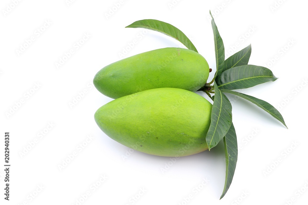 custom made wallpaper toronto digitalraw green mango