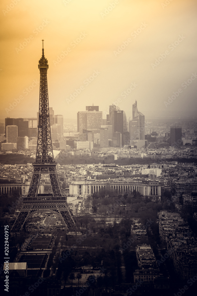 Aerial cityscape of Paris, France, with the Eiffel tower seen from the Tour Montparnasse