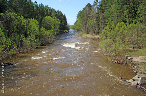 Stream of the fast river flows direct to nowhere between the trees and bushes