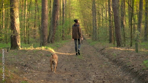 Girl and her pet dog walk in beautiful spring forest. Young female person and staffordshire terrier dog in bandana slowly going along country road in rural forest area on warm and sunny spring day
