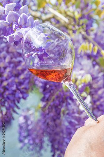 Glass of pink wine taking near the purple wisteria