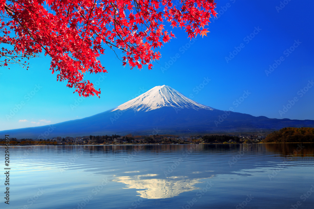 冠雪した逆さ富士と紅葉したカエデ