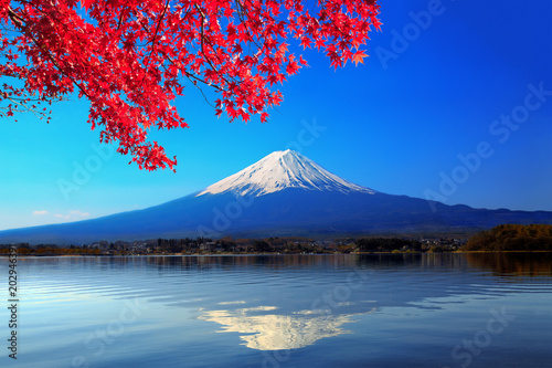 冠雪した逆さ富士と紅葉したカエデ © chikala