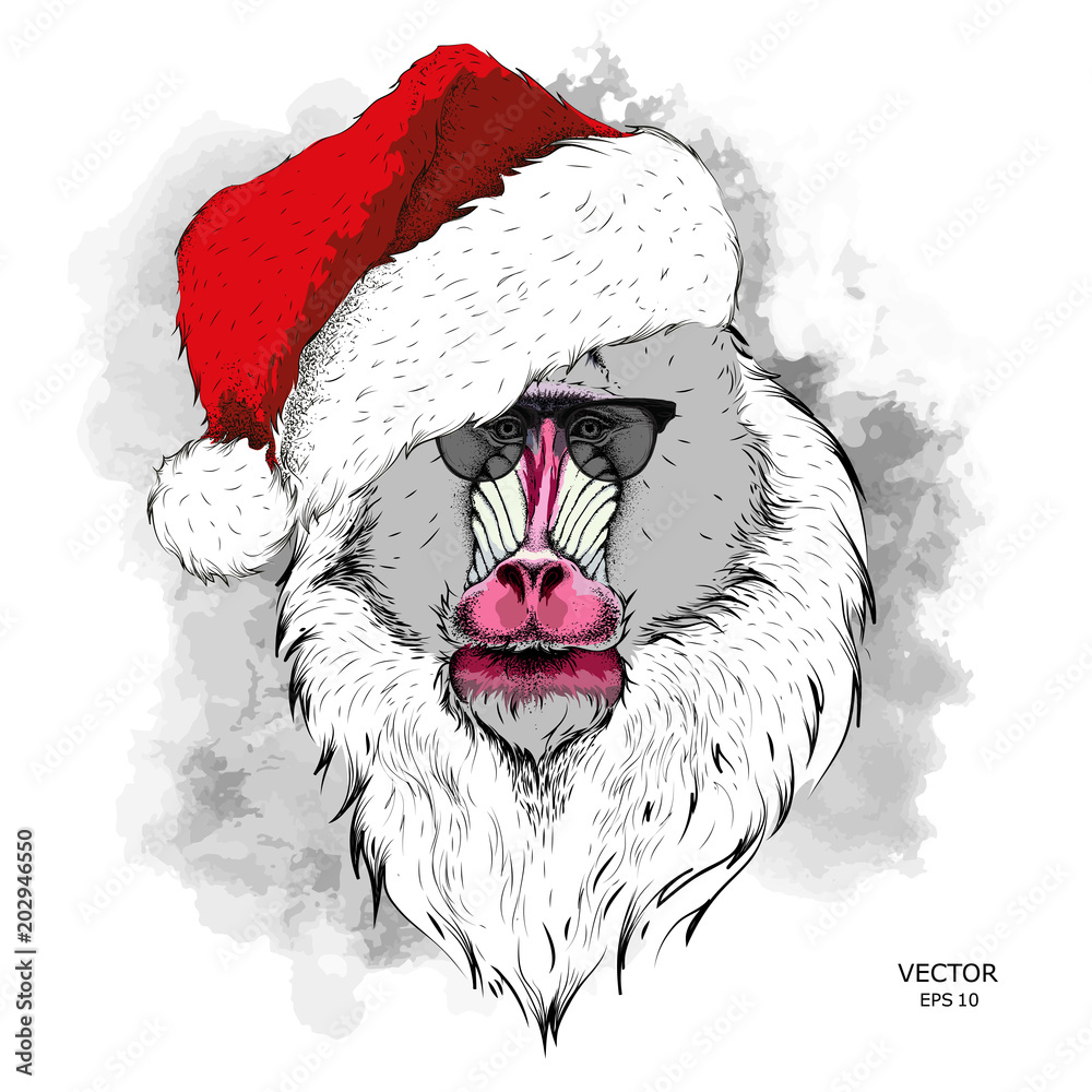 Φωτογραφία The christmas poster with the image of Mandrill portrait in Santa's hat