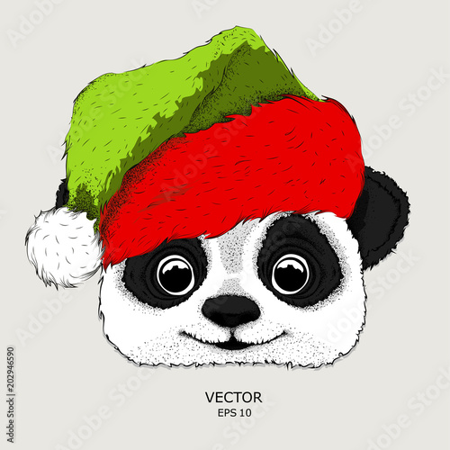 Fototapeta Naklejka Na Ścianę i Meble -  The christmas poster with the image panda portrait in Santa's hat. Hand draw vector illustration.