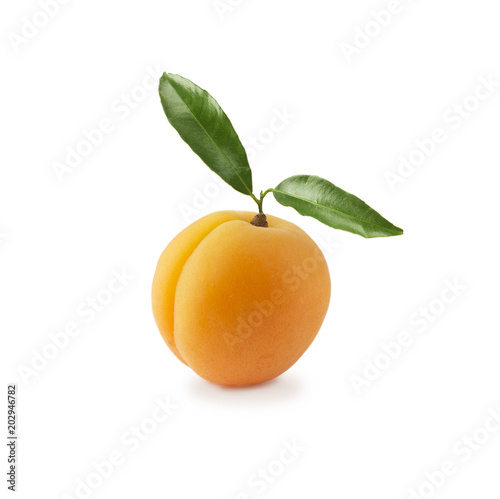 Various fresh summer berries. Ripe apricots with copy space for text. Fruit on white background. Apricots with leaves isolated on white background.