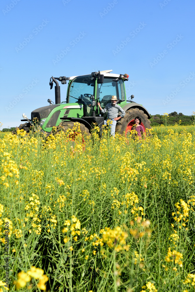 couple of farmers in a canola field with a tractor