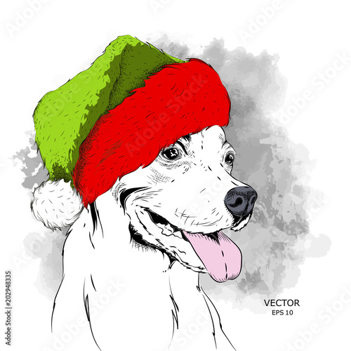 The christmas poster with the image dog portrait in Santa's hat. Hand draw vector illustration.