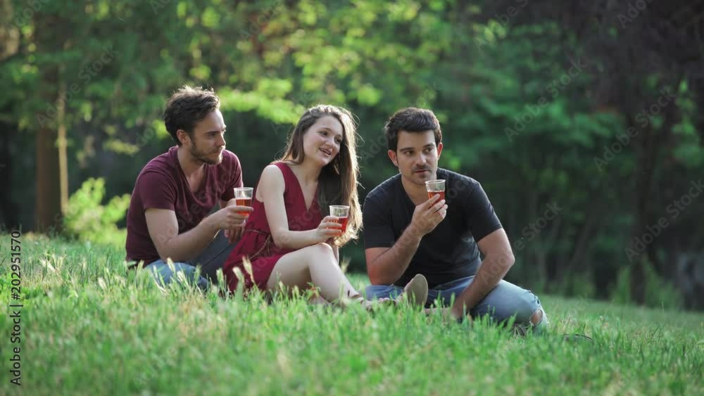 Happy Toast in the meadow- smiling friends toasting Happy Toast in the meadow- smiling friends toasting