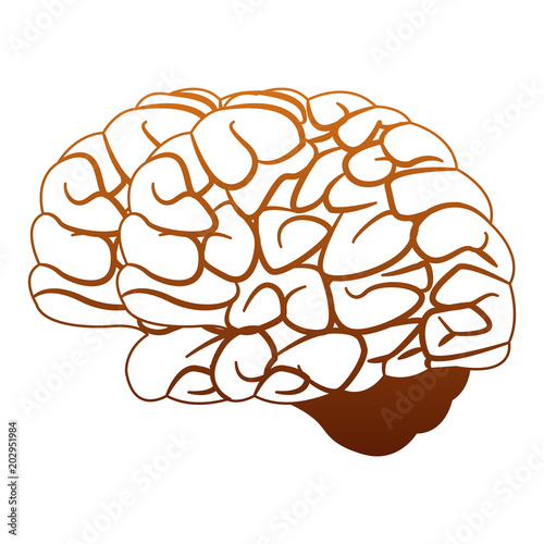 Human brain cartoon vector illustration graphic design