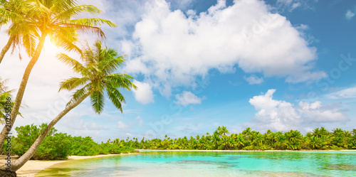 Tranquil tropical Island with palm trees. Idyllic summer destination. Tourism, travel and vacation concept background.