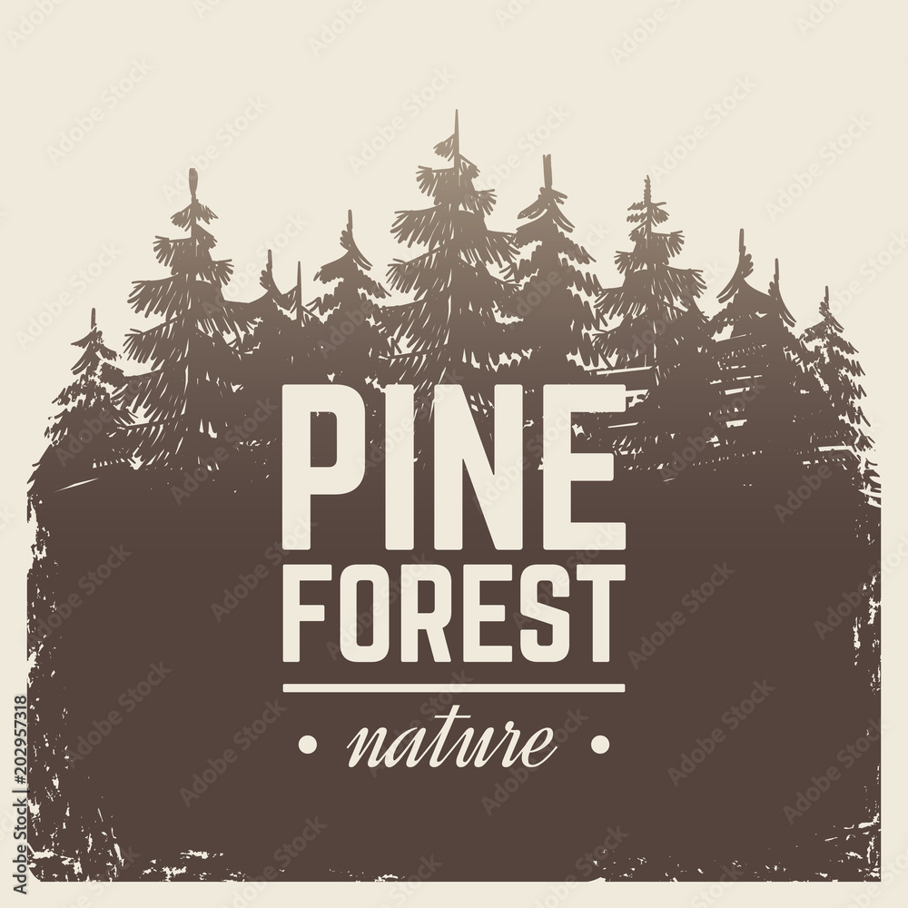 Sketch vintage nature pine and fir tree forest in misty fog cartoon scene vector retro poster with silhouette trees