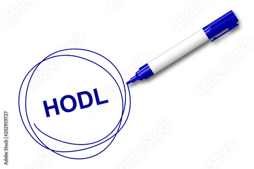 blauer Filzstift kreist ein - HODL