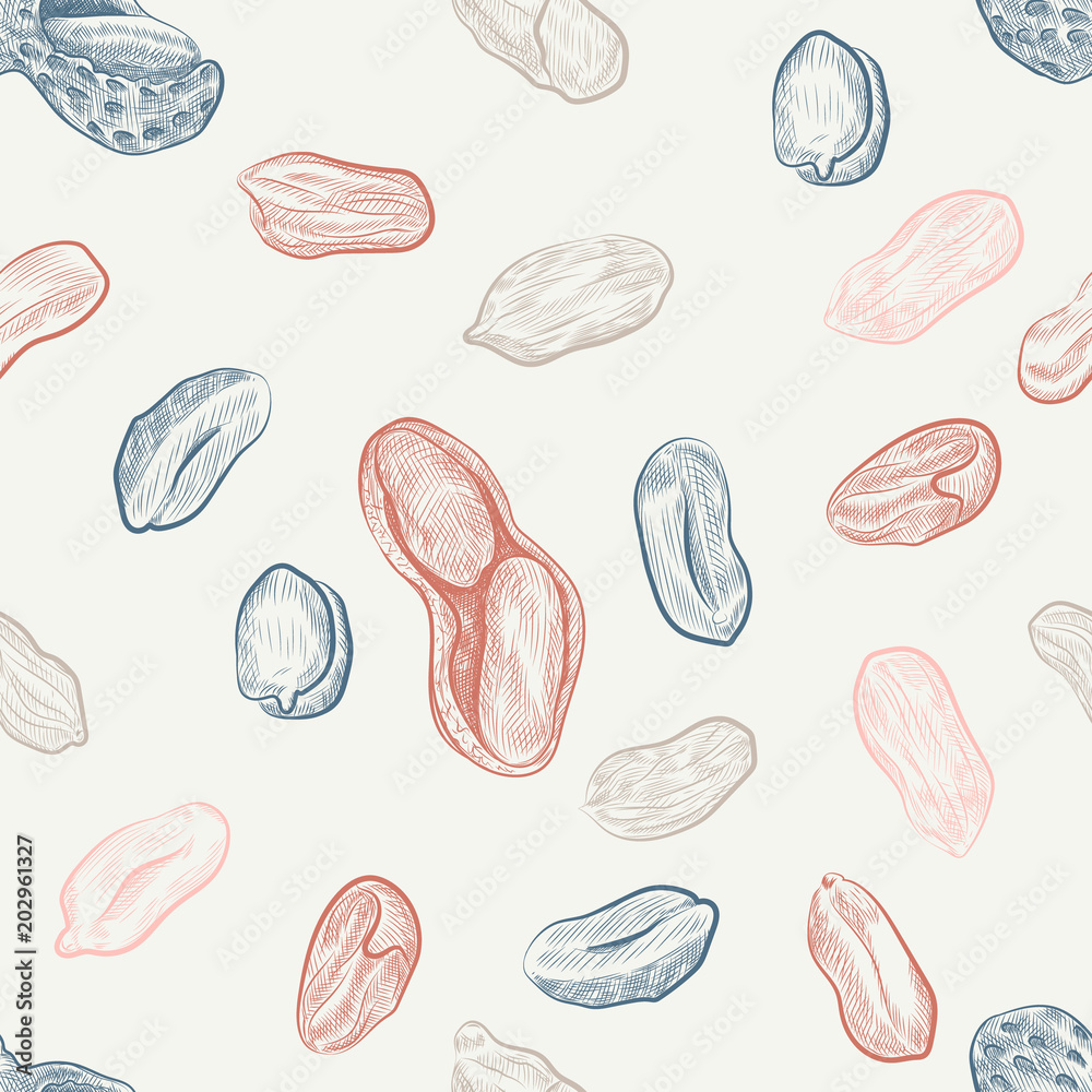 Peanut seamless pattern. Hand drawn peanut shells and kernels sketches background. Peanut seamless pattern. Hand drawn peanut shells and kernels sketches background.