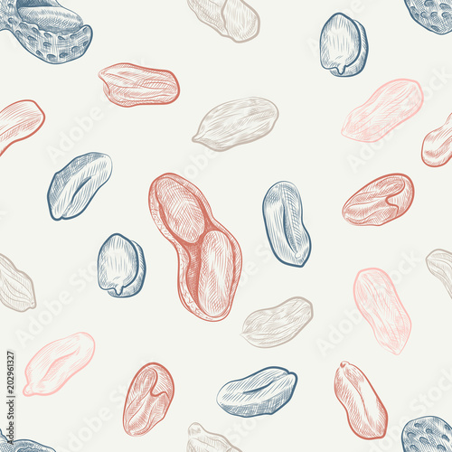 Peanut seamless pattern. Hand drawn peanut shells and kernels sketches background.