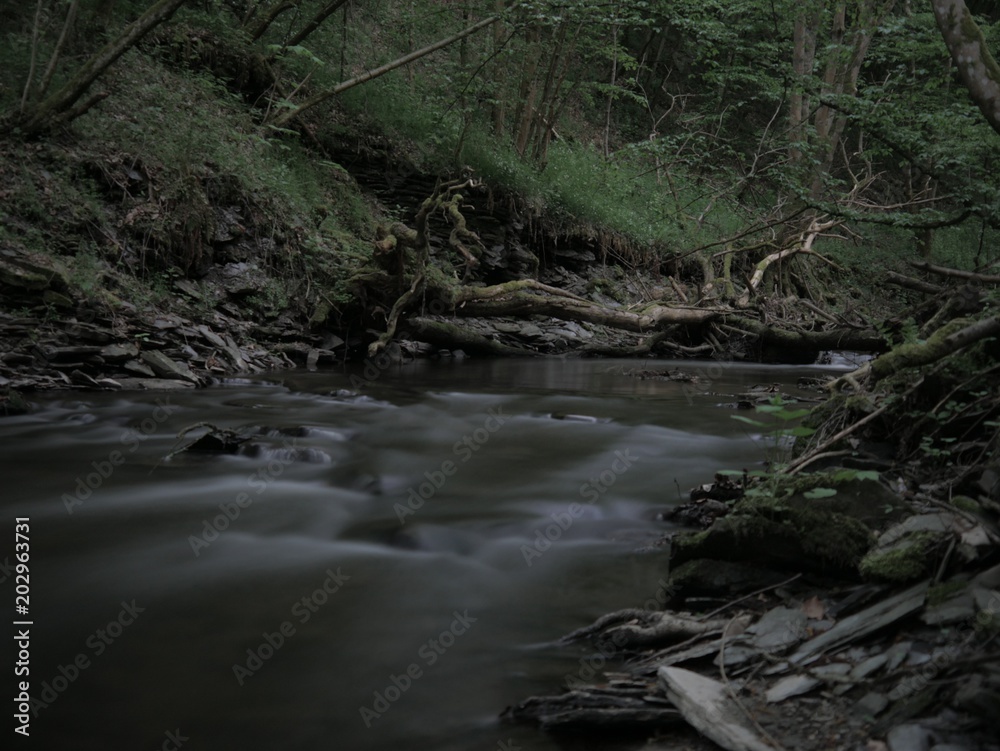 Wasser Wasser