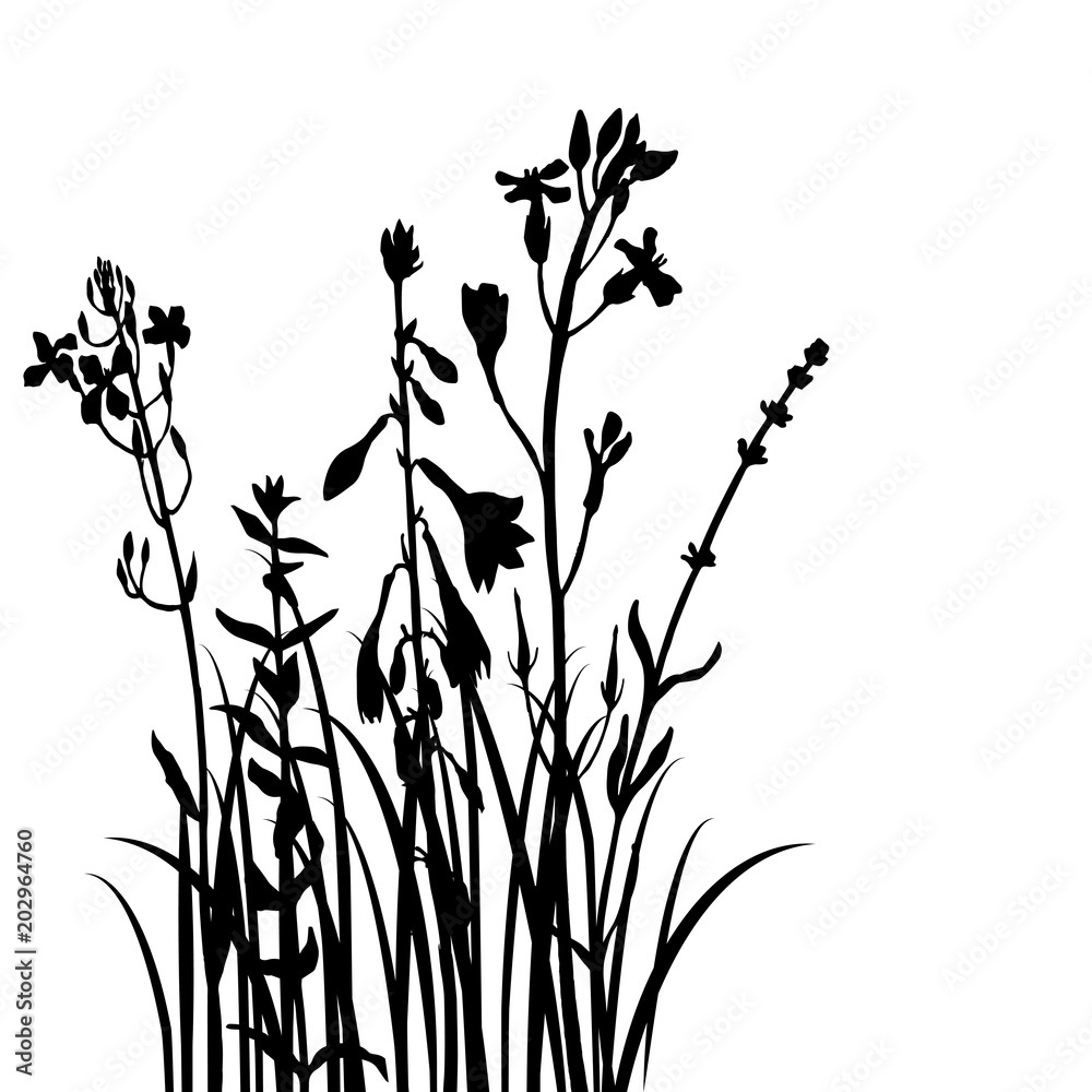 Background with drawing herbs and flowers Background with drawing herbs and flowers
