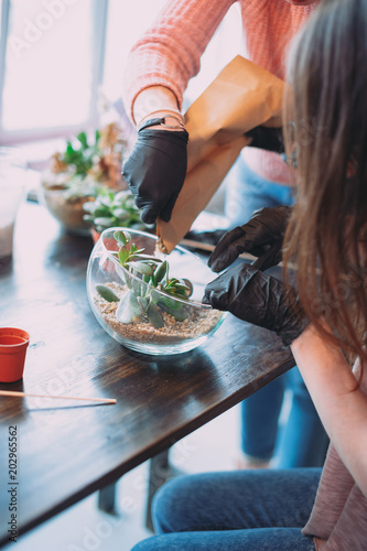 Master class on planting succulents in the florarium of glass The Floriana. Girls plant plants. Hands of the girl close-up. Making a gift and a piece of interior handmade. DIY present photo