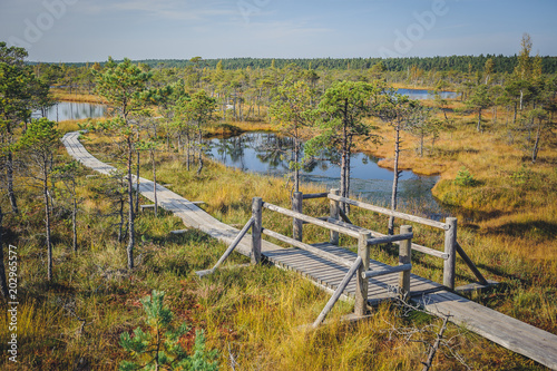 Great Kemeri Bog Boardwalk, Kemeri National Park, Latvia. Popular tourist destination. Top point photography.