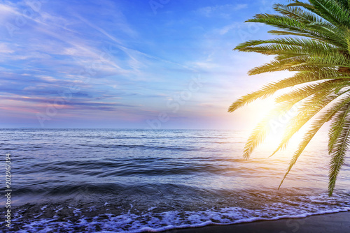 Fototapeta Naklejka Na Ścianę i Meble -  Beautiful landscape of sea coast at sunset with palm trees.