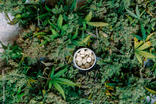 cannabis buds and pills, medical marijuana dispensary concept photo