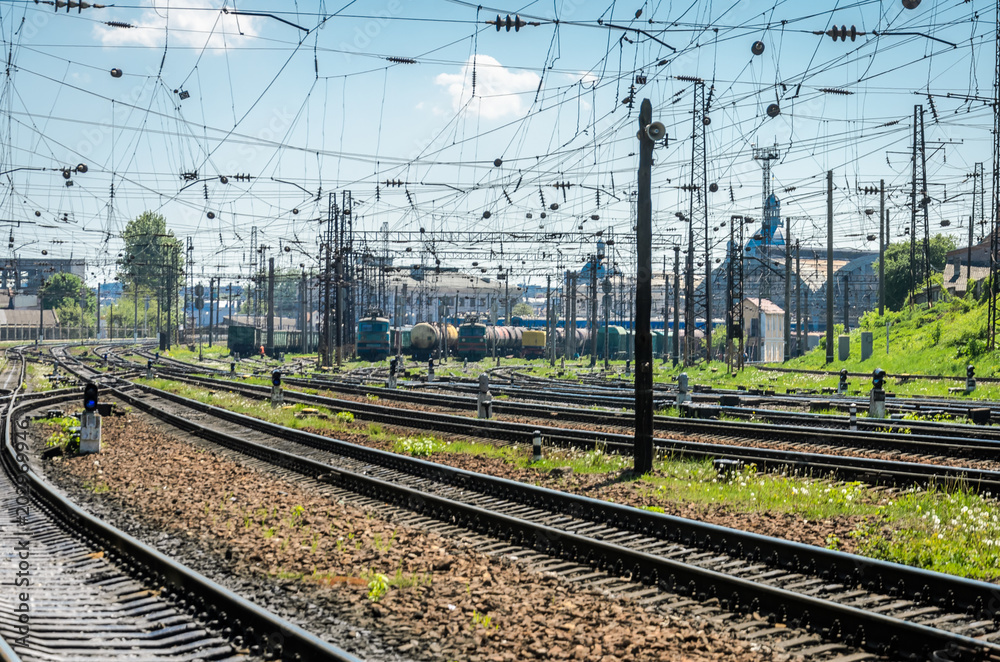 The railway station on which there are many freight trains and wagons