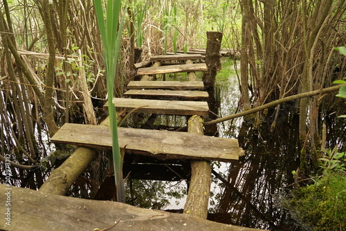 the wooden bridge (some boards), for transition through the small river. rural areas