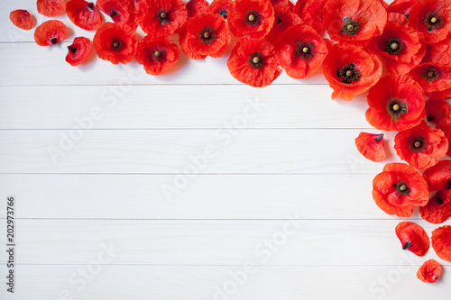 Wooden light background with red poppies for congratulations